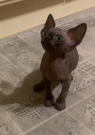 Cuccioli Sphynx