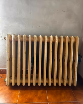 termosifone in ghisa
