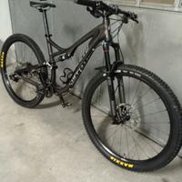 Specialized stumpjumper