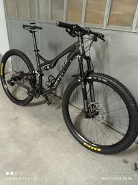 Specialized stumpjumper