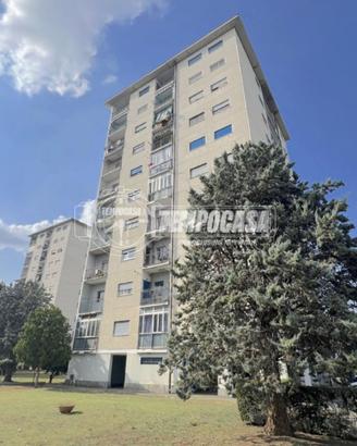 Appartamento a Torino Via degli Ulivi 5 locali
