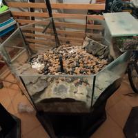 acquario come da foto +vari + accessori