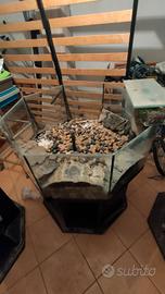 acquario come da foto +vari + accessori