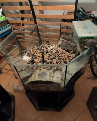 acquario come da foto +vari + accessori