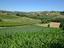 Immagine 11