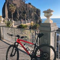 Mtb Specialized S-WORKS !!!COME NUOVA