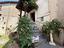 Immagine 19