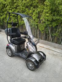 Carrozzina elettrica esulky
