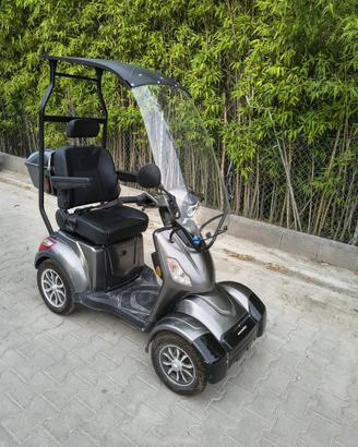 Carrozzina elettrica esulky