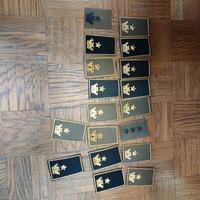 gradi esercito capitano maggiore