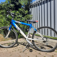 Mountain bike ragazzo
