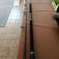 Combo spinning mare Daiwa BG 6500 e Penn Regiment