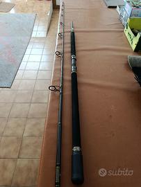 Combo spinning mare Daiwa BG 6500 e Penn Regiment