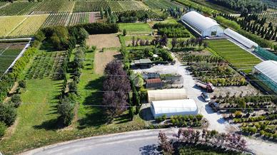 TER. AGRICOLO A PISTOIA