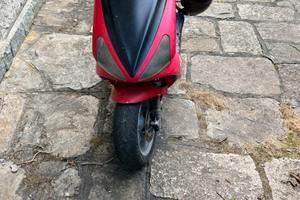 benelli performante limited edition(leg. desc.)
