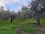 Immagine 25