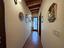 Immagine 17