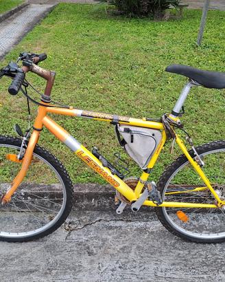 Bicicletta Legnano MTB uomo