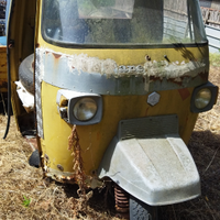 Vendita ape piaggio
