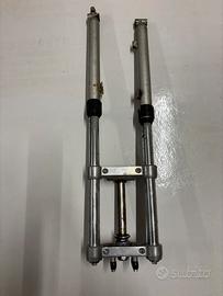 Forcelle Fantic GT 50