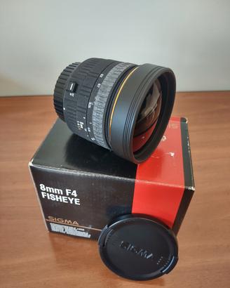 Sigma 8mm fisheye 