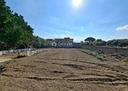 terreno-agricolo-acerra-cod-rif-3267892vcg-