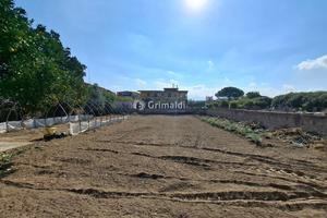 Terreno Agricolo Acerra [Cod. rif 3267892VCG]