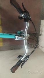 Bicicletta Bianchi Rubino