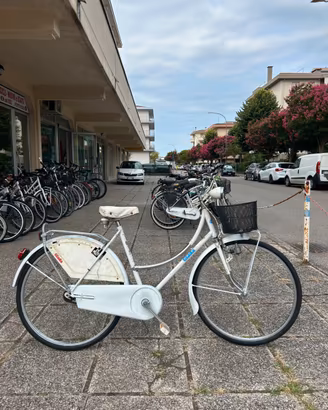Bicicletta olanda