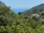 Immagine 24