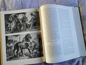 Libro vintage 1967 L'uomo e il cavallo