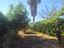 Immagine 20