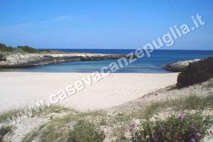 NEW CasaFlora Patio Veranda Barbecue A/C Park MARE