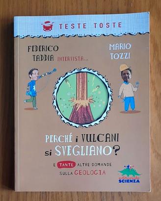 Libro: PERCHE' I VULCANI SI SVEGLIANO? 