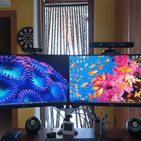 2 monitor acer 24,5 pollici