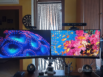 2 monitor acer 24,5 pollici
