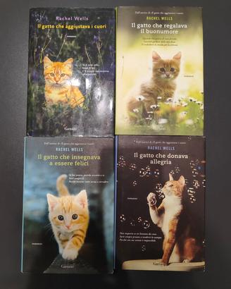 4 libri Rachel Wells