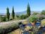 Immagine 13
