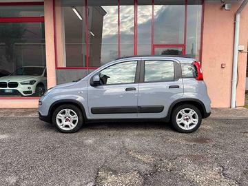 PANDA 500 FORTWO