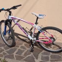 Bici da Bambina-Ragazza