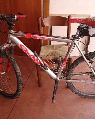 Bicicletta Mountain bike