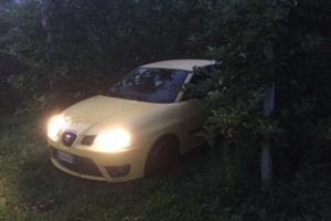 Ricambi seat ibiza cupra 1900 tdi