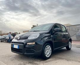 Fiat Panda 1.0 FireFly S&S Hybrid Km0