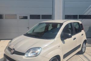 FIAT PANDA 1.2 FIRE EURO 6 con CARPLAY