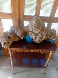 ceppo per giardino o altro 