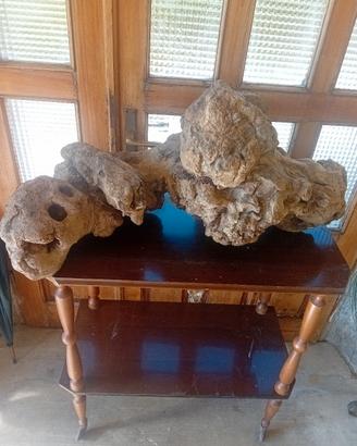 ceppo per giardino o altro 