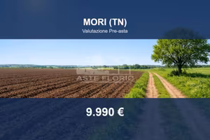 Immobile in asta di 2078 m² a Mori