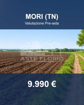 Immobile in asta di 2078 m² a Mori