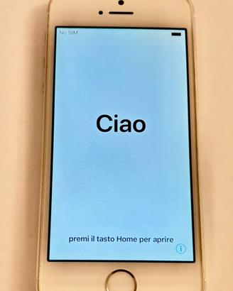 IPhone 5S 16GB funzionante
