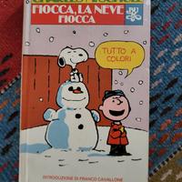 Fiocca, la neve fiocca